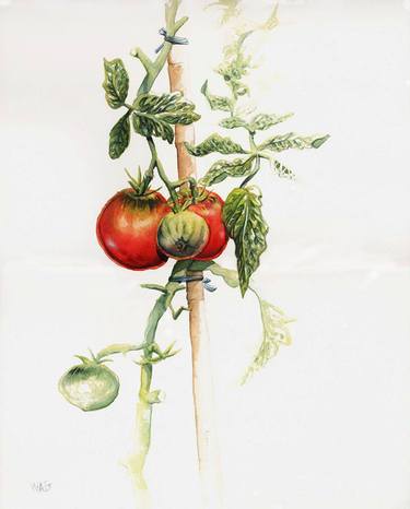 Print of Illustration Botanic Paintings by ROBERT DECUREY