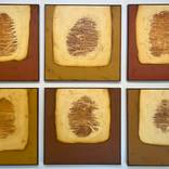 Collection Rustic Industrial