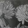 still life , flowers, black and white, composition, drawing