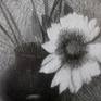 still life, autumn flowers , black and white, composition, drawing