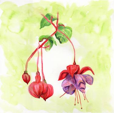 Fuscia Botanical Watercolor Illustration thumb