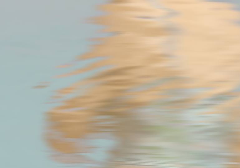 Original Expressionism Abstract Photography by Tasha Butler
