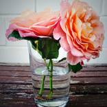 Orange Roses in a glass by Markus Leiste