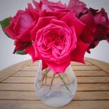 Red Roses on Wood Table by Markus Leiste