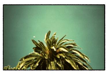 South of California (Palm Tree) thumb