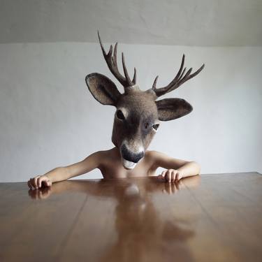 Original Animal Photography by Bella West