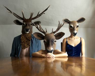 Original Animal Photography by Bella West