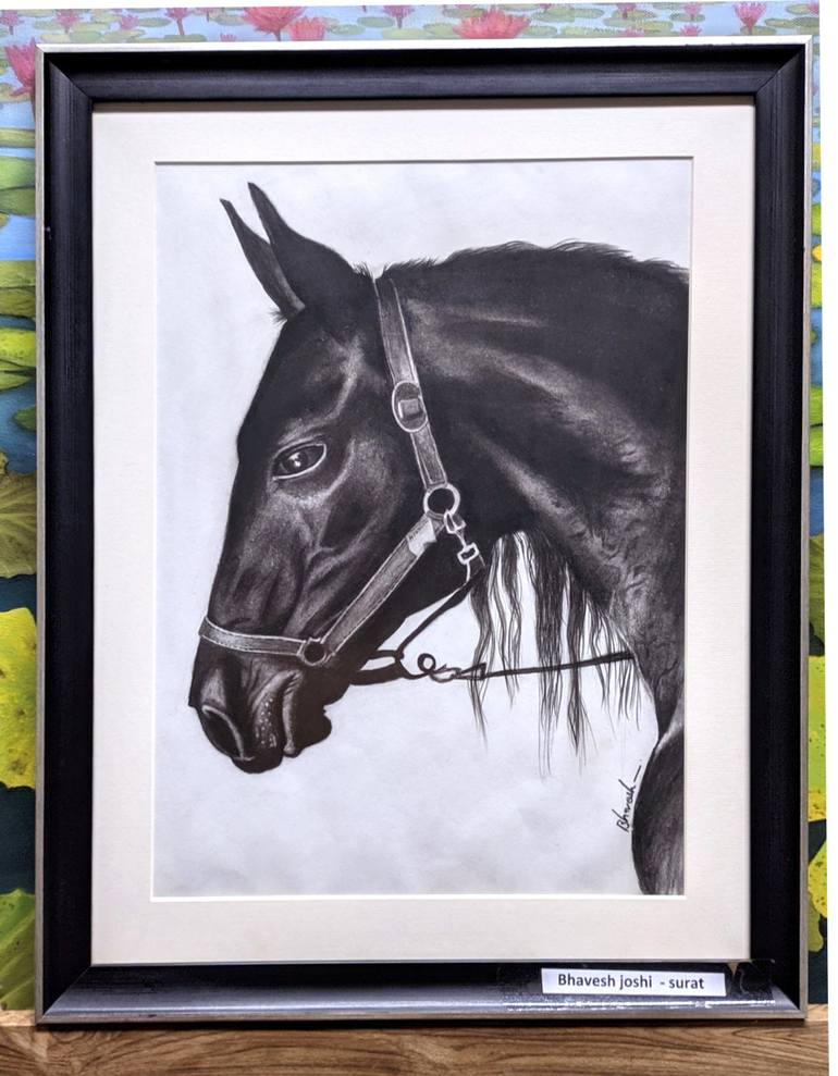 Original Realism Horse Drawing by Bhavesh Joshi