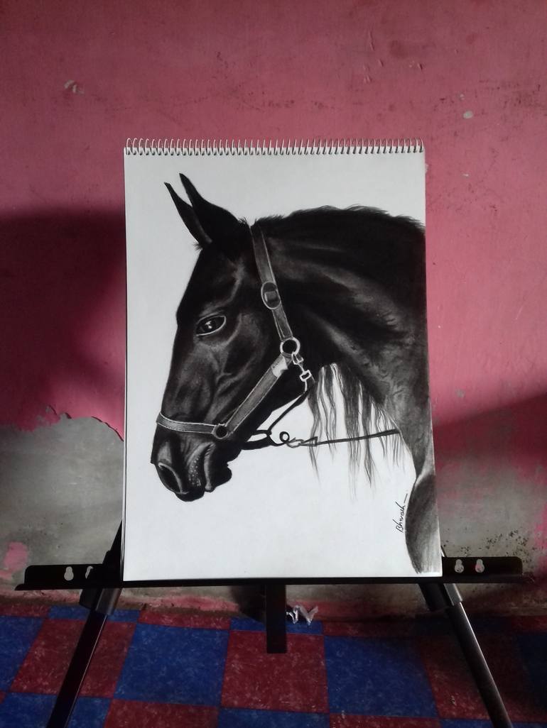 Original Horse Drawing by Bhavesh Joshi