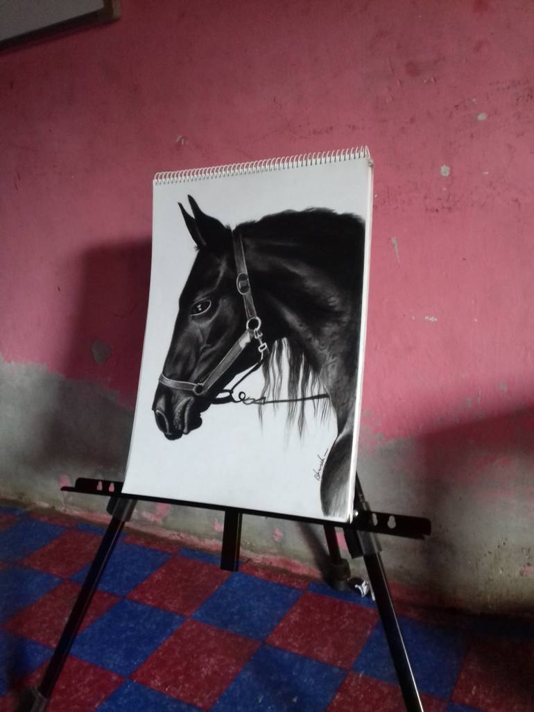 Original Horse Drawing by Bhavesh Joshi
