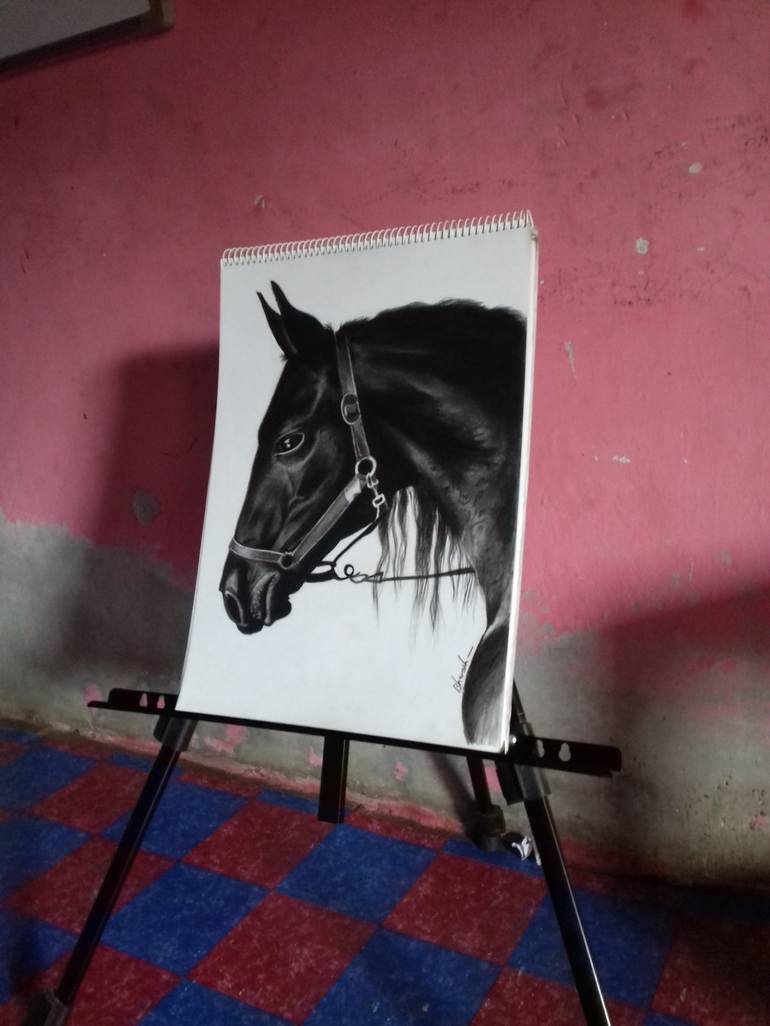 Original Realism Horse Drawing by Bhavesh Joshi