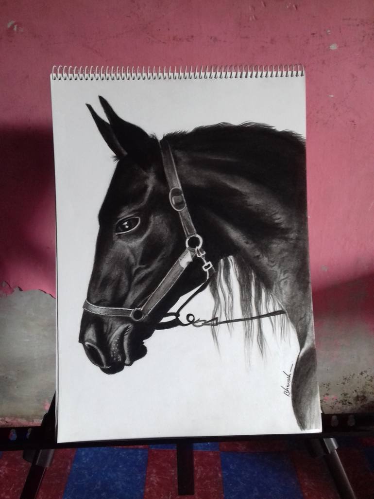 Original Horse Drawing by Bhavesh Joshi