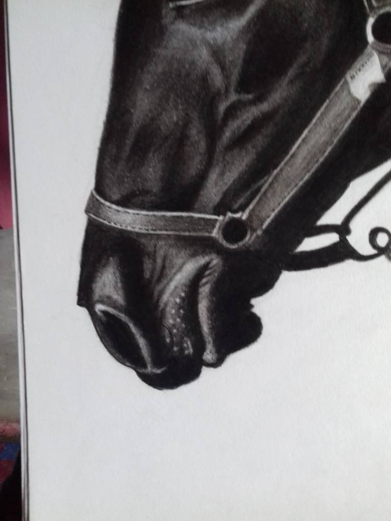 Original Horse Drawing by Bhavesh Joshi