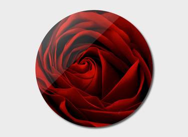 Le Roman de la Rose - Limited Edition 1 of 1 thumb