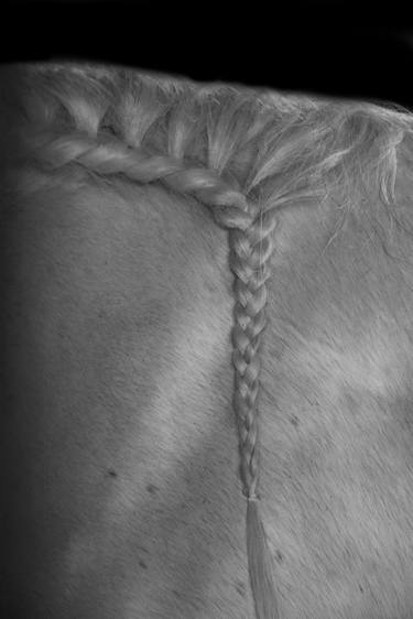 Horse braid thumb