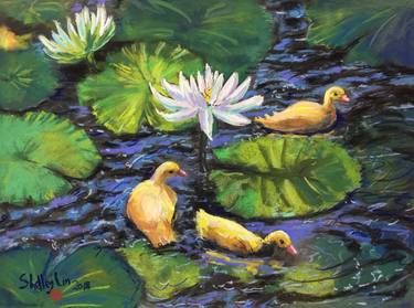Ducklings playing in Lotus Blossom Pond thumb