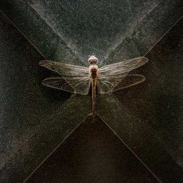 Dragonfly - Limited Edition 1 of 100 thumb