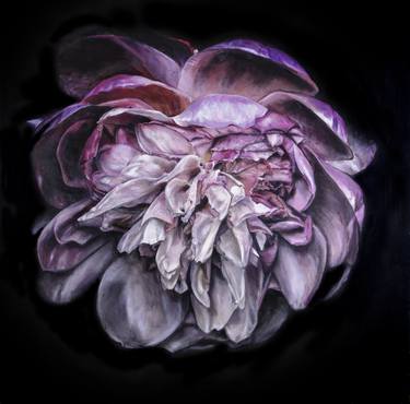 Print of Botanic Paintings by Gillian Sargeant