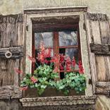 The Old House Tales by Ekaterina Filiuta