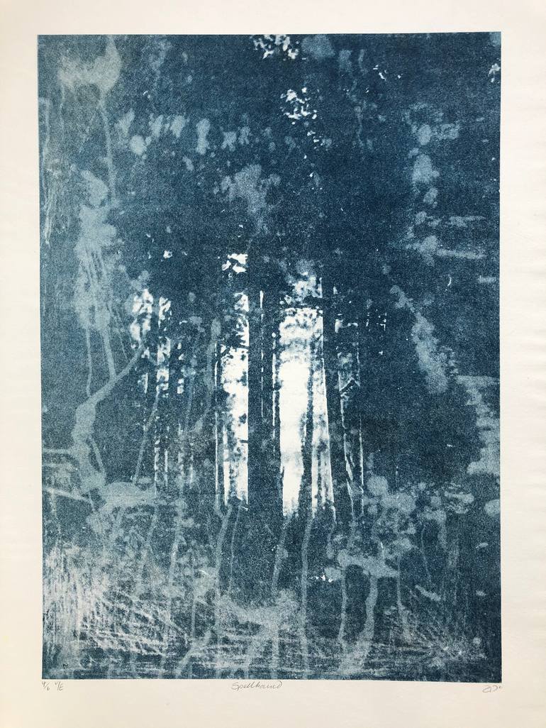 Original Nature Printmaking by Diane McLellan