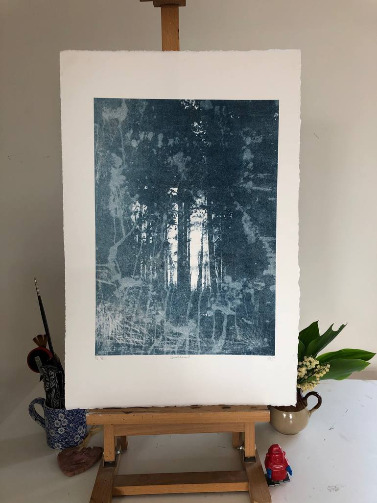 Original Fine Art Nature Printmaking by Diane McLellan