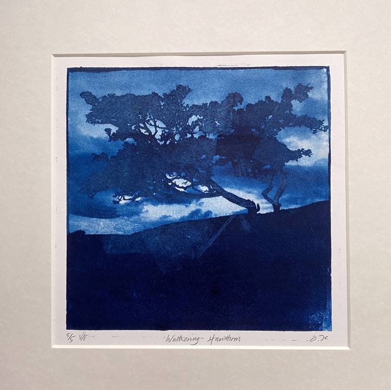 Original Fine Art Landscape Printmaking by Diane McLellan