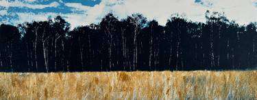 Original Fine Art Landscape Printmaking by Diane McLellan