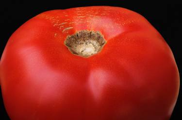 Saatchi Art Artist Jeff Prant; Photography, “Perfect Tomato - Limited Edition 1 of 12” #art