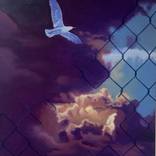 Collection New This Week 11-24-2025