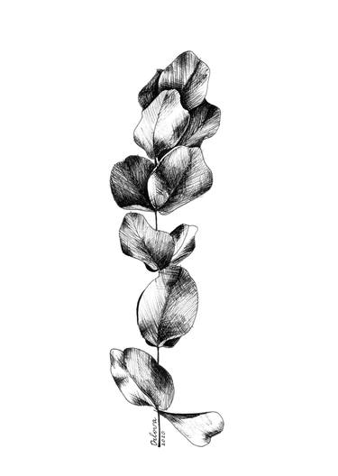 Original Botanic Drawing by Natalia Orlova