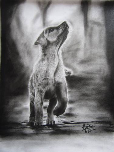 Original Animal Drawings by Puja Nag