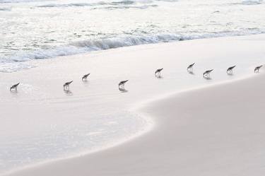 Sanderlings - Limited Edition of 10 thumb