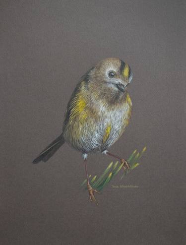 Goldcrest Bird, Original Colored Pencils Drawing thumb