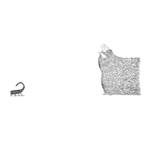The Friendliest Little Scorpion #2 - Limited Edition of 50 by Michael Gaster