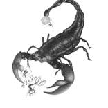 The Friendliest Little Scorpion #1 - Limited Edition 6 of 50 by Michael Gaster