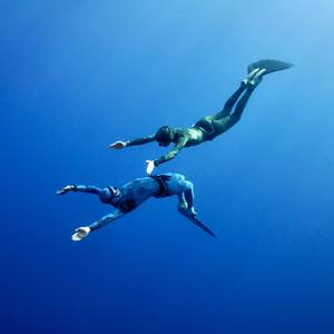 Collection FreeDiving