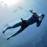 Collection FreeDiving