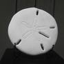 This sand dollar sculpture is named for Susan B. Anthony the 19th century social reformer whose image (coincidentally?) appears on the US $1 coin.   The sculpture "Susan" is the letter "S" entry in a 26 piece series of fish sculptures.   The series is titled "Age of Aquarium"