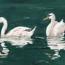 A gouache painting of a pair of swimming swans. It is executed on 300gsm hot pressed watercolour paper, is titled 'Swimming Swans' signed on the back, is unmounted and unframed.
I love just watching these birds and love the way their reflections look in the water as they gracefully paddle along. How could one not be inspire by such creatures? :)
