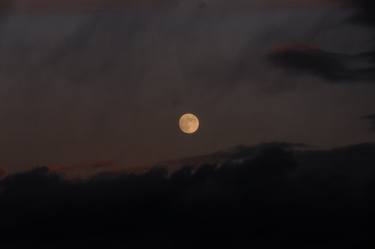 The Cold Moon Rises thumb
