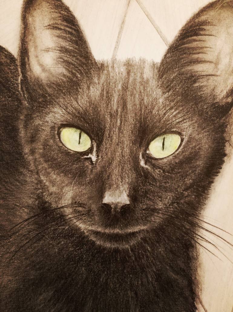 Original Illustration Cats Drawing by Tetiana Verstak