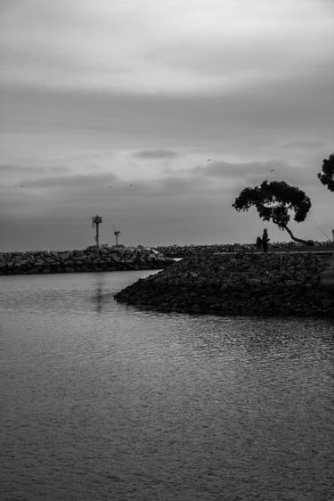 Reflection, sunset, Tranquility, Tree, coastal, harbor, lake, Palm, tree, moment, black and white - Limited Edition of 25 thumb