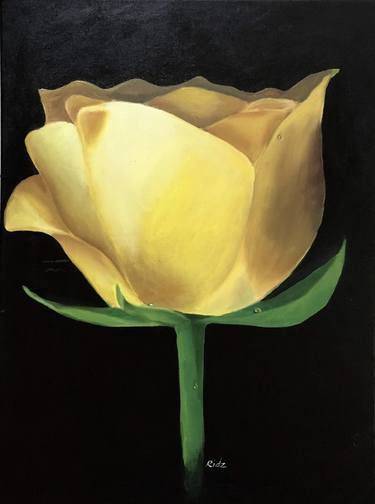 Yellow Rose thumb