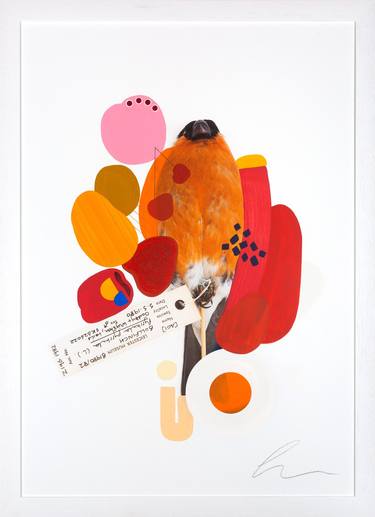 Saatchi Art Artist Lucy Stevens; Collage, “Bullfinch (Primary Red)” #art