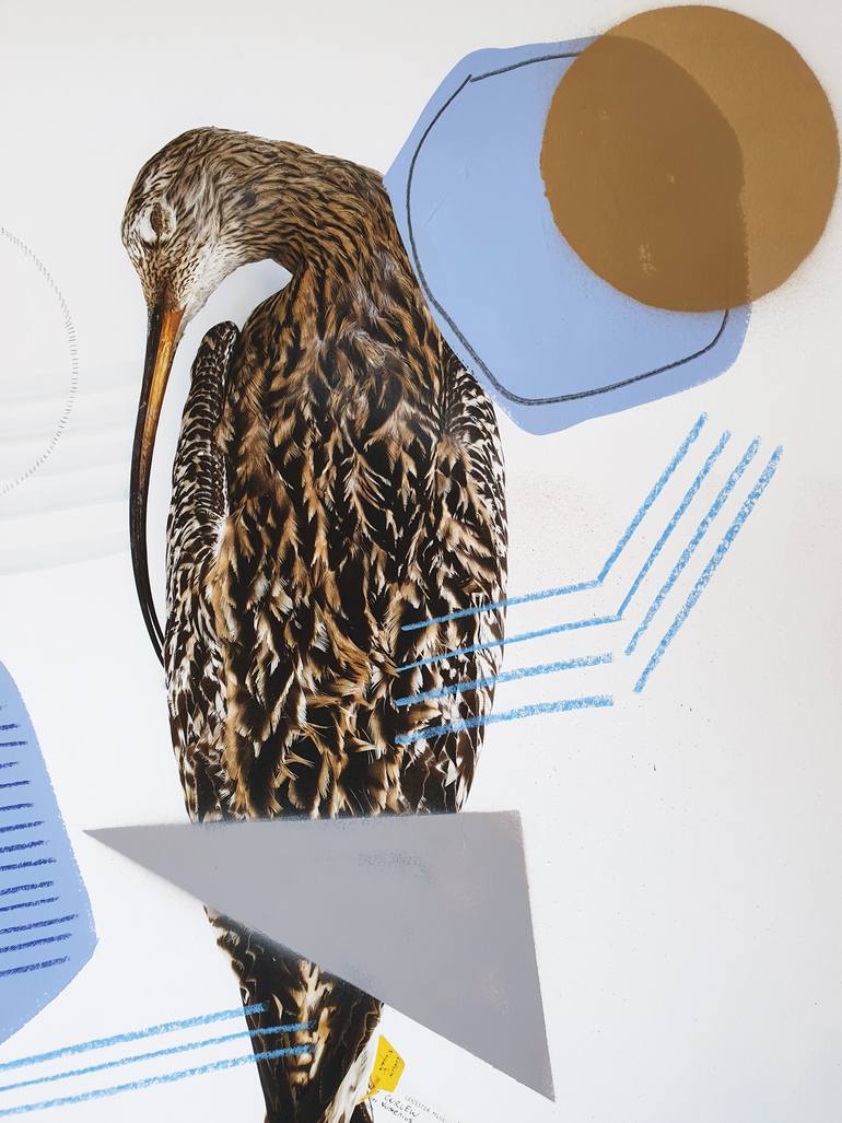 Original Abstract Animal Photography by Lucy Stevens