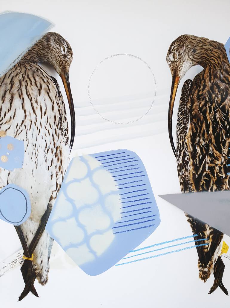 Original Abstract Animal Photography by Lucy Stevens