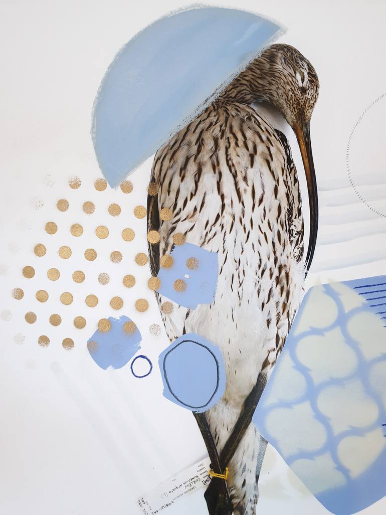 Original Abstract Animal Photography by Lucy Stevens