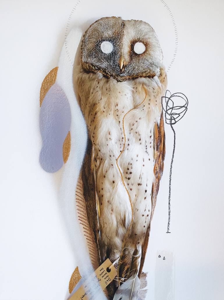 Original Abstract Animal Photography by Lucy Stevens