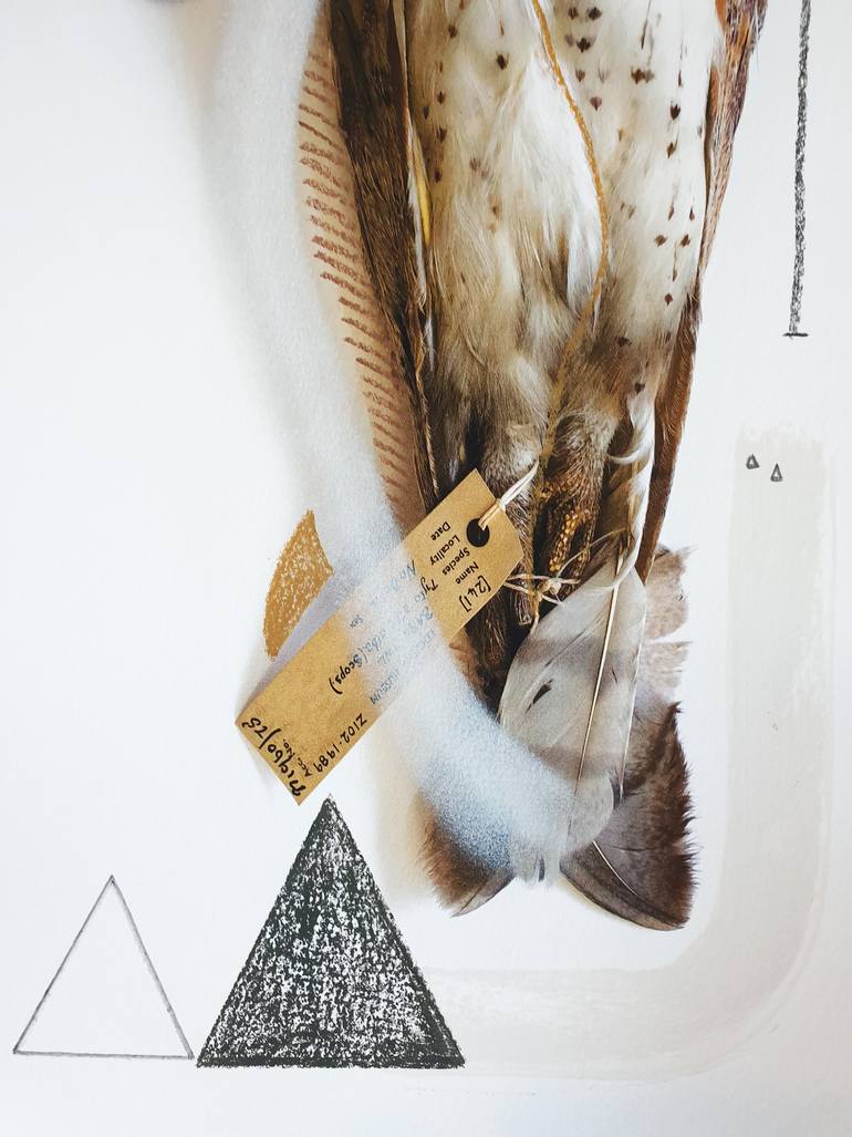 Original Abstract Animal Photography by Lucy Stevens