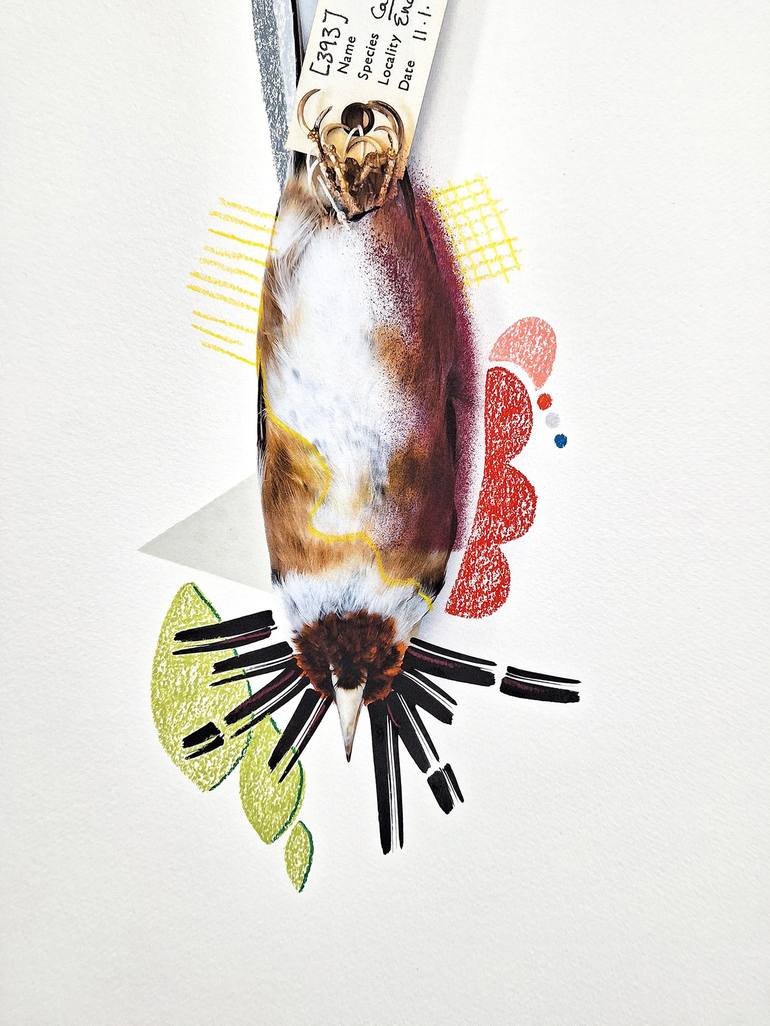 Original Animal Mixed Media by Lucy Stevens